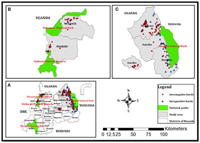 Molecular characterization of Brucella spp. from seropositive herds of cattle farmed at the wildlife–livestock–human interface in Rwanda